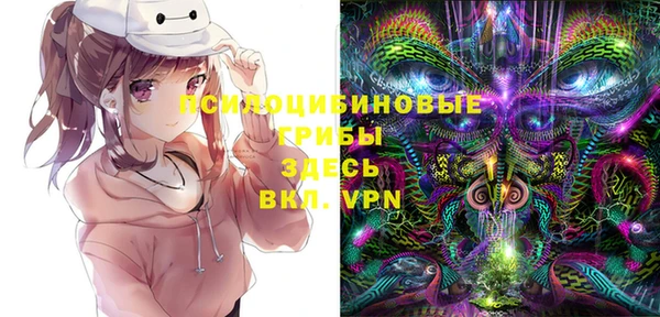 a pvp Карпинск