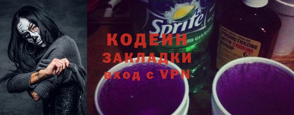 индика Касимов
