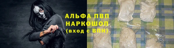 индика Касимов