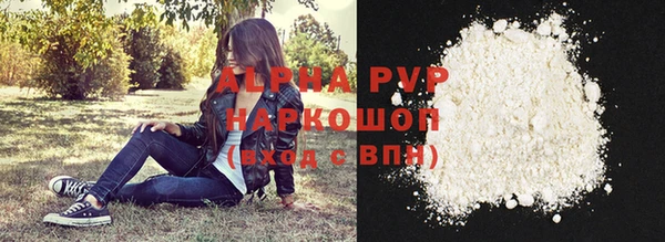 PSILOCYBIN Козельск