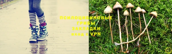 мдпв Инта