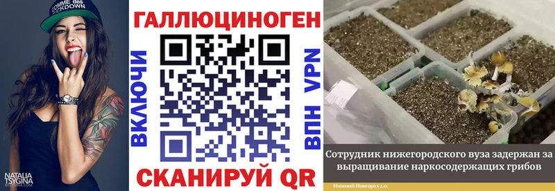 Галлюциногенные грибы мухоморы  Княгинино 